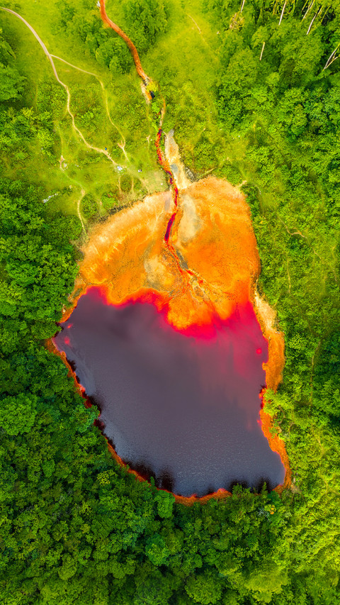 The heart of the earth in the forest 2 screenshot