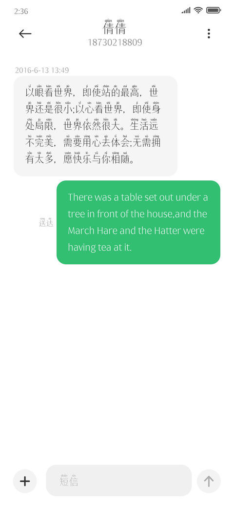 新宋黑拼音细体 screenshot