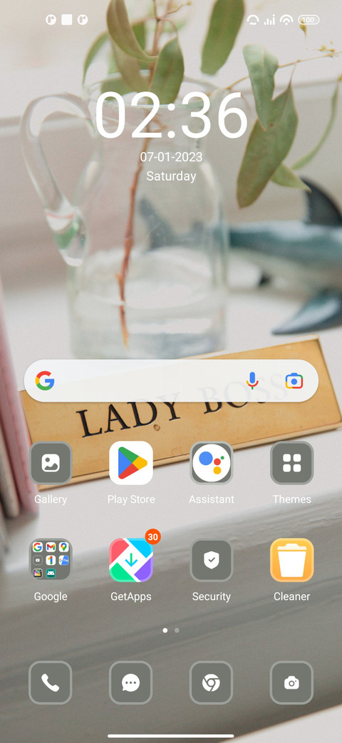 ladyboss screenshot