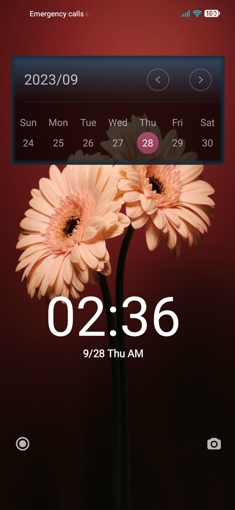 Flowers screenshot