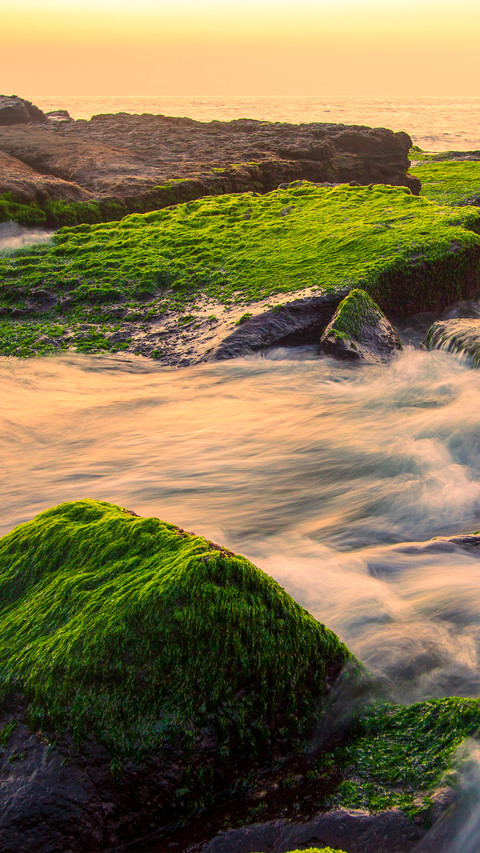 Green coast and waves screenshot