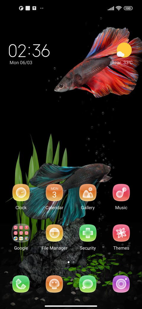 fighting fish screenshot
