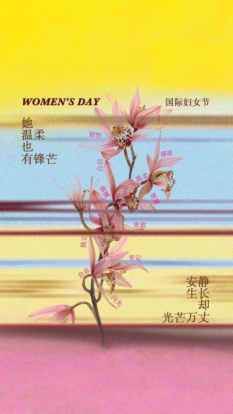 妇女节 致敬了不起的她 screenshot