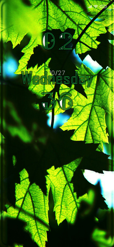 Maple Leaves screenshot