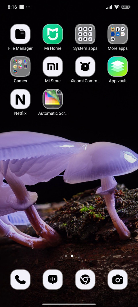 Mushroom Root screenshot