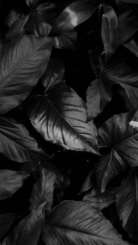 Amoled HD  (7) screenshot