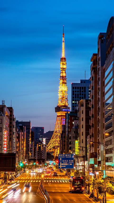 Japanese life is very good 65 screenshot