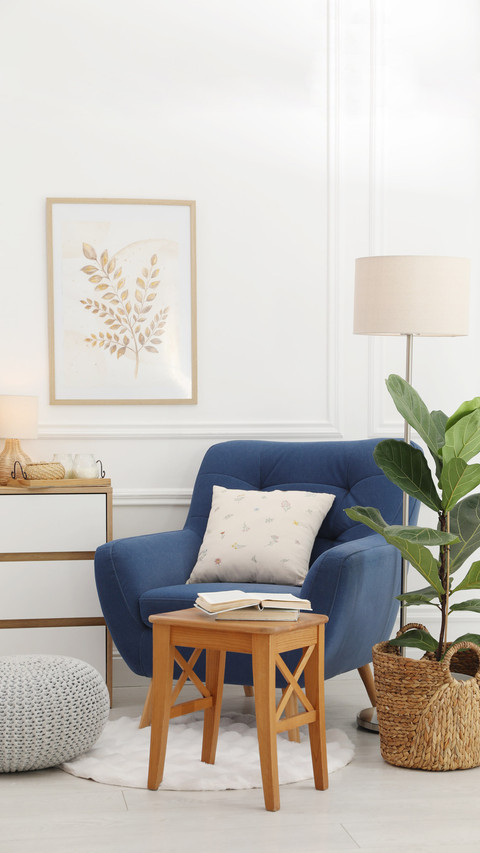 House decoration screenshot