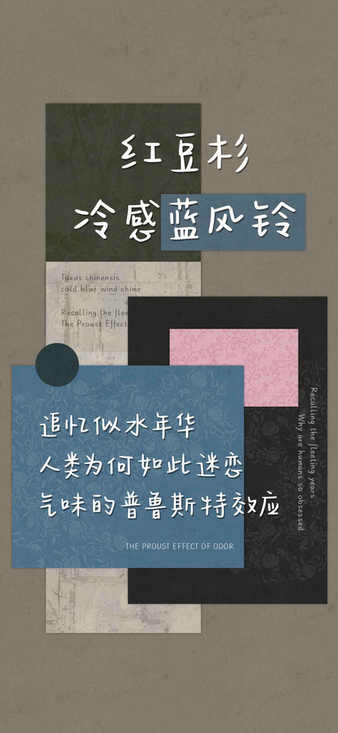 红豆杉冷感蓝风铃 screenshot