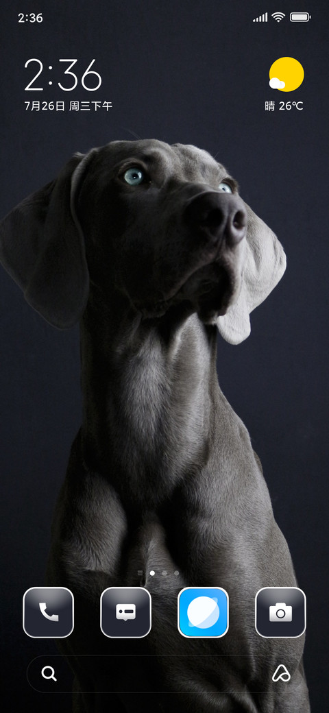 My Dog screenshot