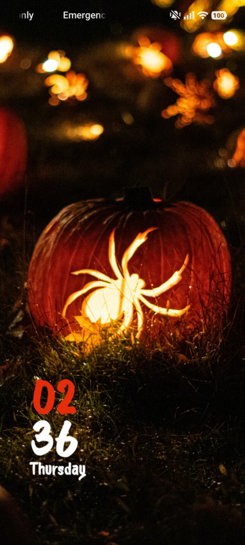 Yellow Spider screenshot