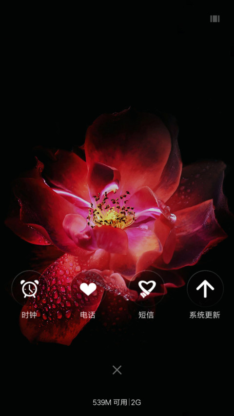 夜玫瑰 screenshot