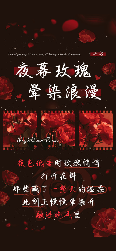夜幕玫瑰晕染浪漫 screenshot