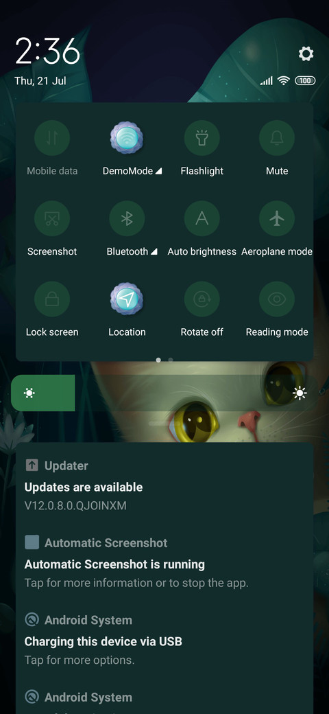 My Cat screenshot
