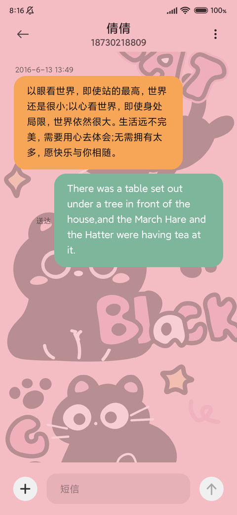 顽皮可爱黑猫 screenshot