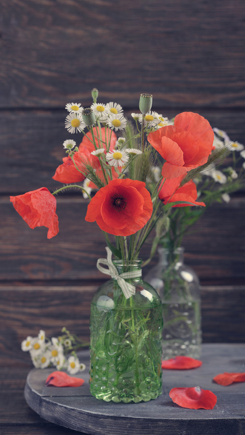How many ancient poems about flowers do you know screenshot