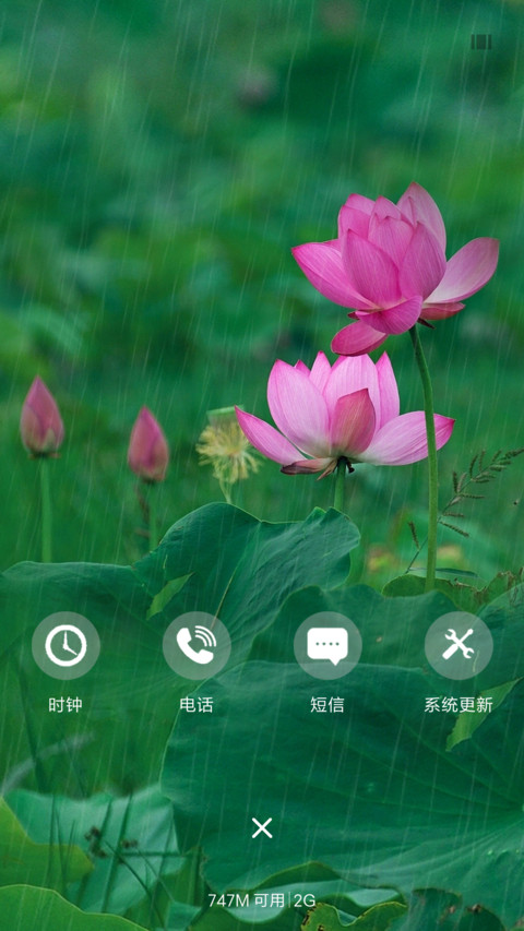 仲夏赏荷 screenshot