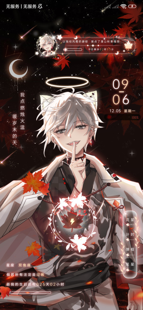 少年思枫叶 screenshot