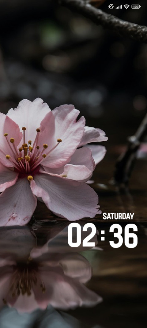 Blossom screenshot