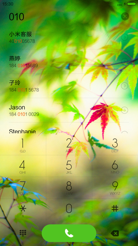 枫叶（好评送收费主题） screenshot