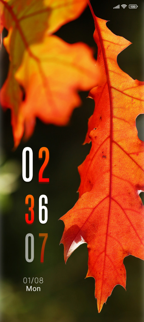 leaves oak screenshot