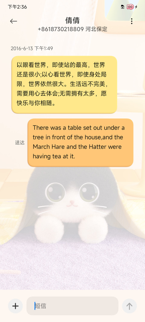 3D 小猫的夏日 screenshot
