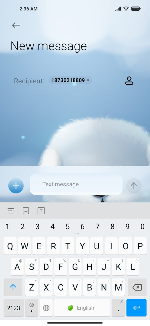Little Bichon Bear screenshot