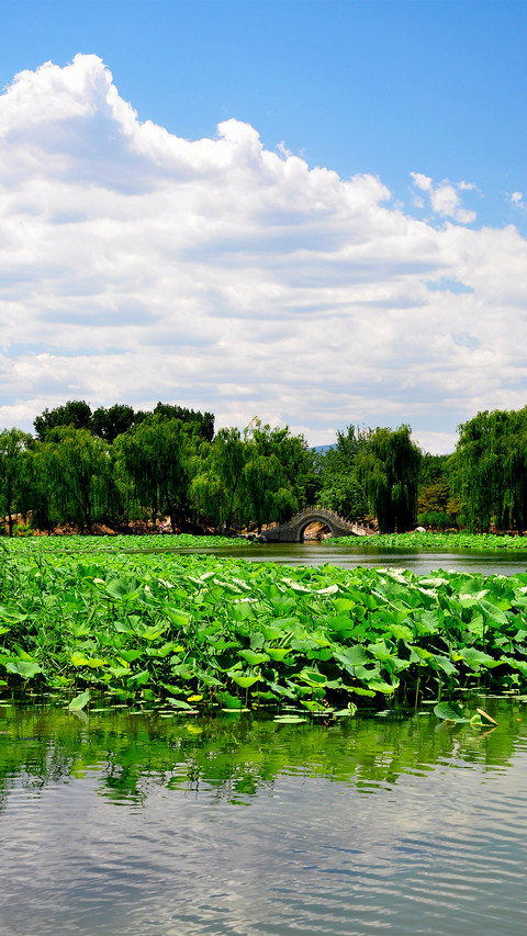 Old Summer Palace Summer Scenery 71 screenshot