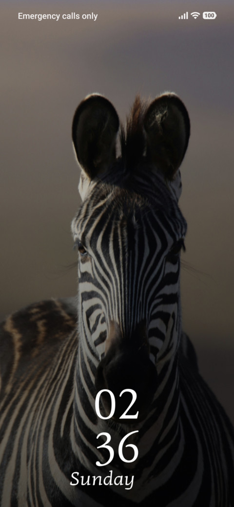 Stripe Elegance screenshot