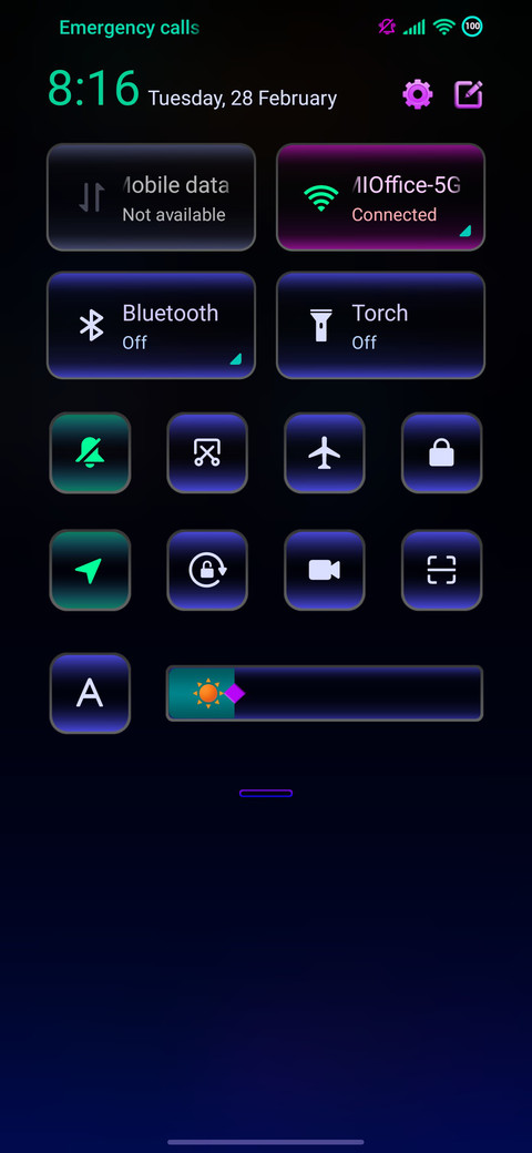 IDM 13 v.1.3.2.en screenshot
