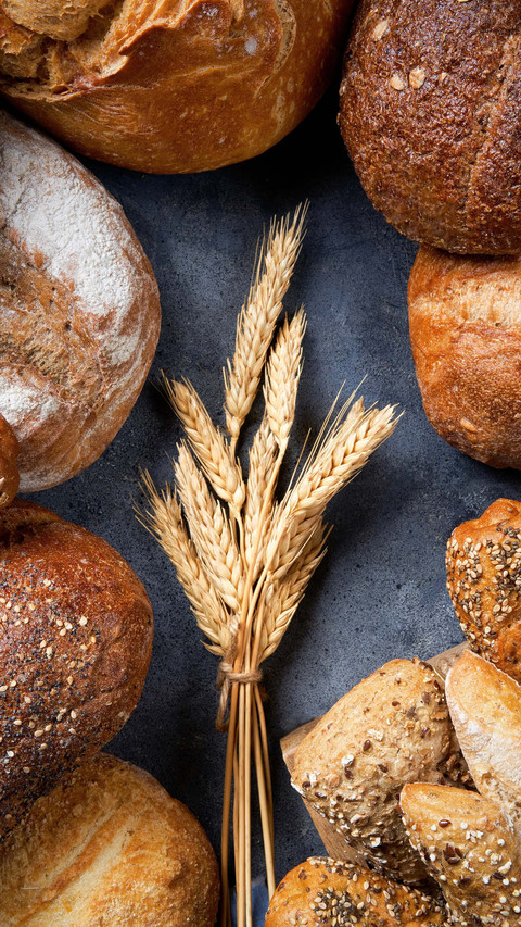 The great mystery of wheat flour screenshot