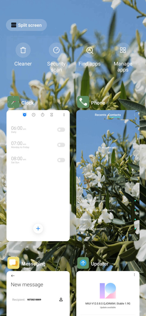 Blossoms screenshot