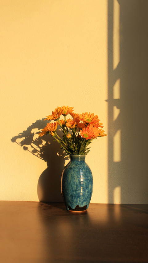 Beautiful romantic sad daisy in sunlight morning screenshot