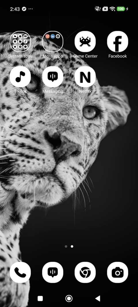 Ghost Leopard screenshot