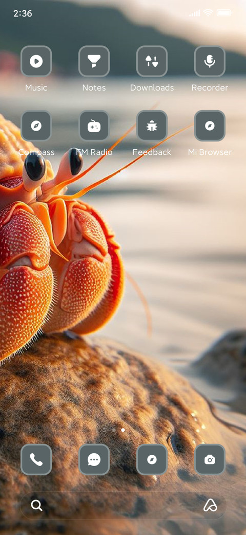 Crab screenshot