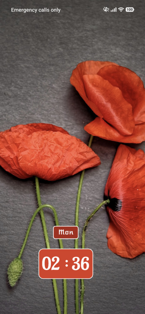 Petals screenshot