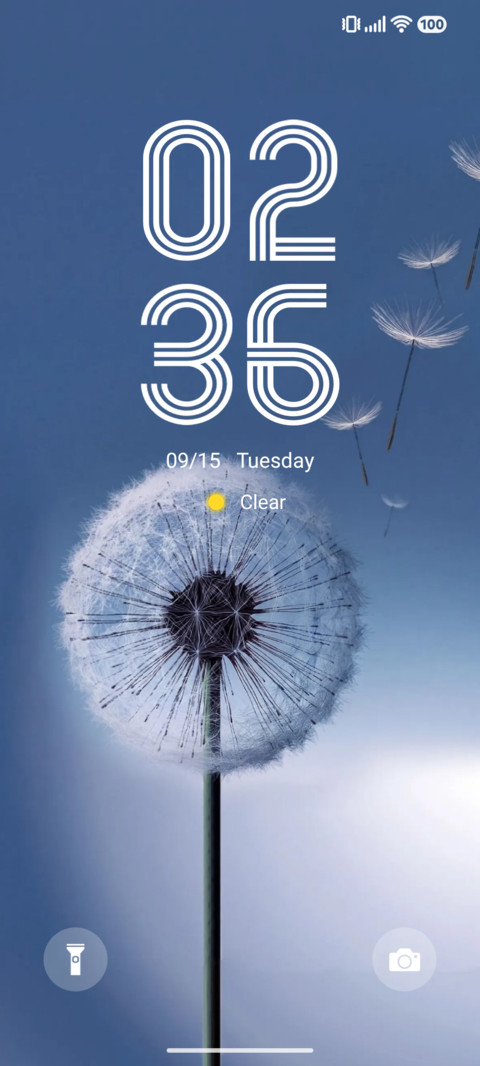 VK Blue Bloom screenshot