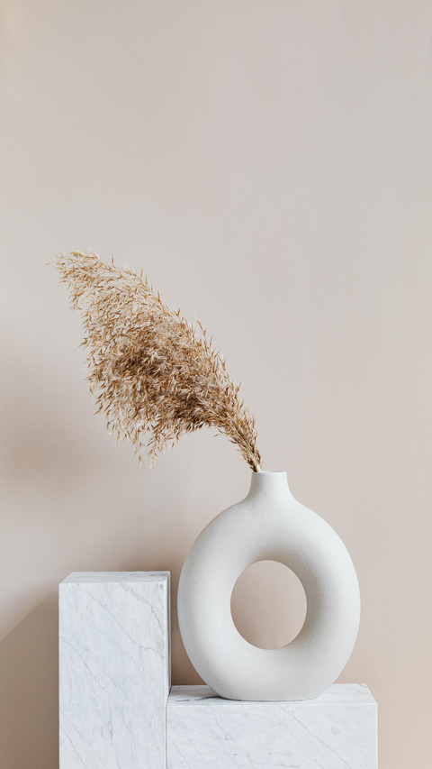 Plant feather screenshot