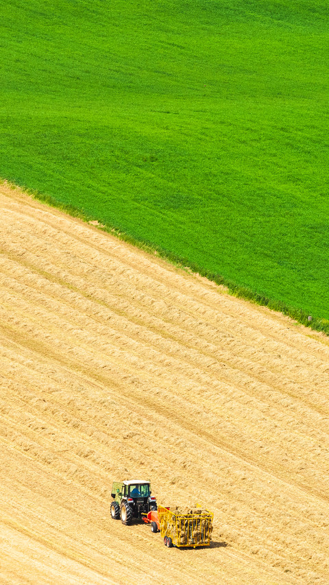 Beautiful view of the farmland screenshot