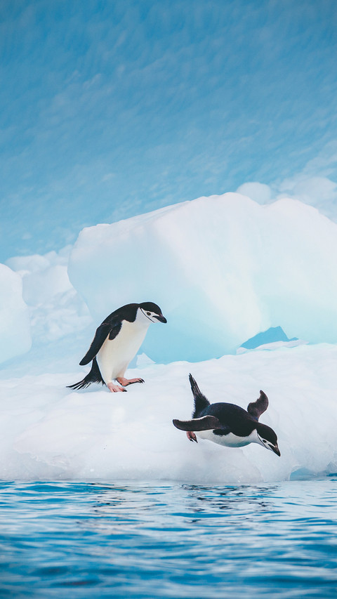 What you dont know about antarctic cold screenshot