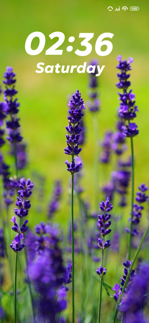 Field screenshot