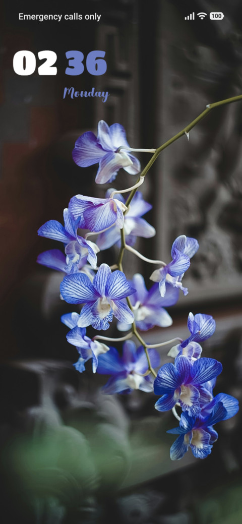 Blue Orchid screenshot