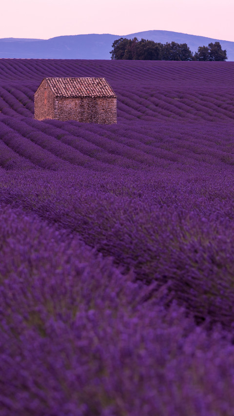 Embrace nature screenshot