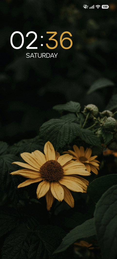 Sunflower screenshot