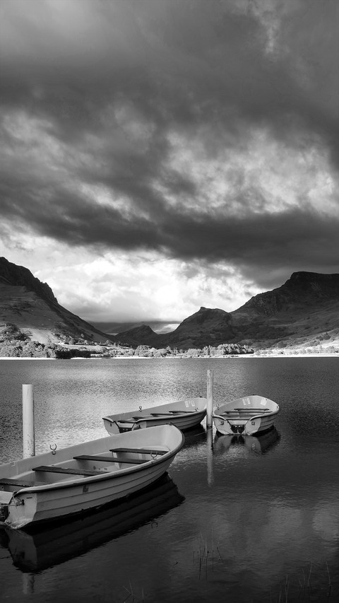 Black and White Photography Art screenshot