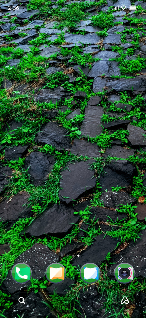 Grassyrock_DWM2 screenshot