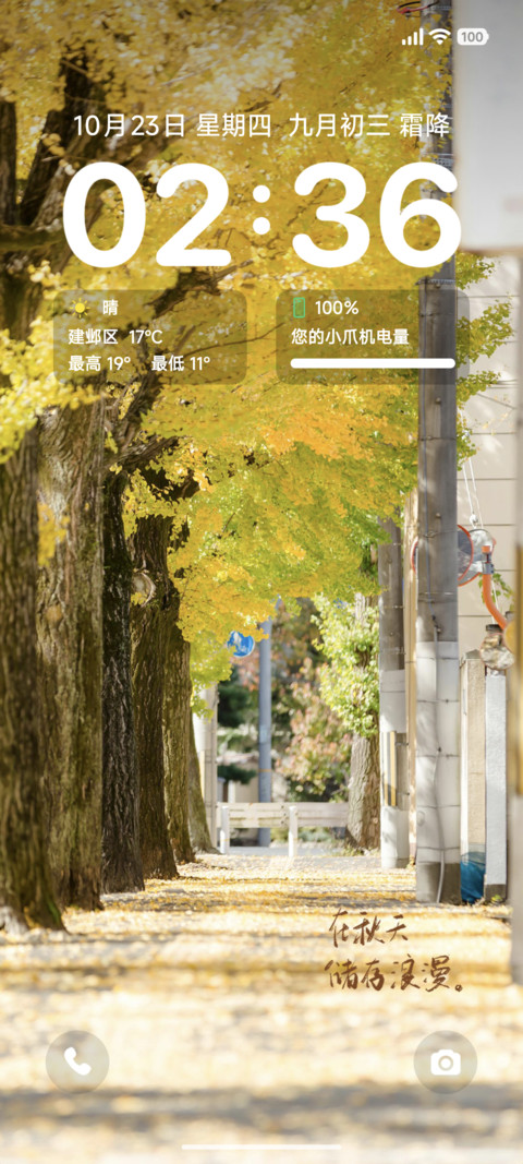 ins秋日浪漫 screenshot
