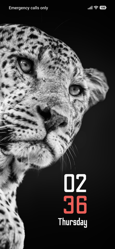 Ghost Leopard screenshot
