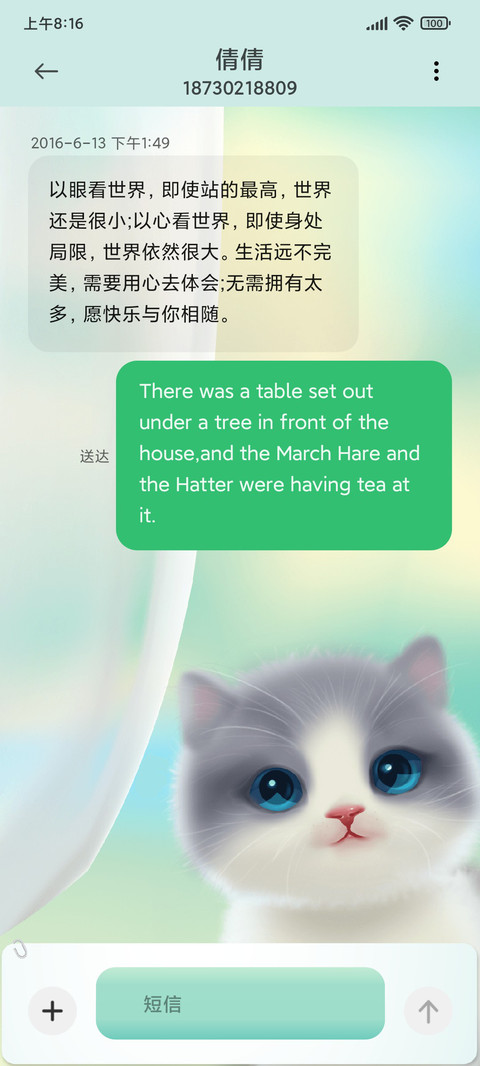 窗边小英短 screenshot