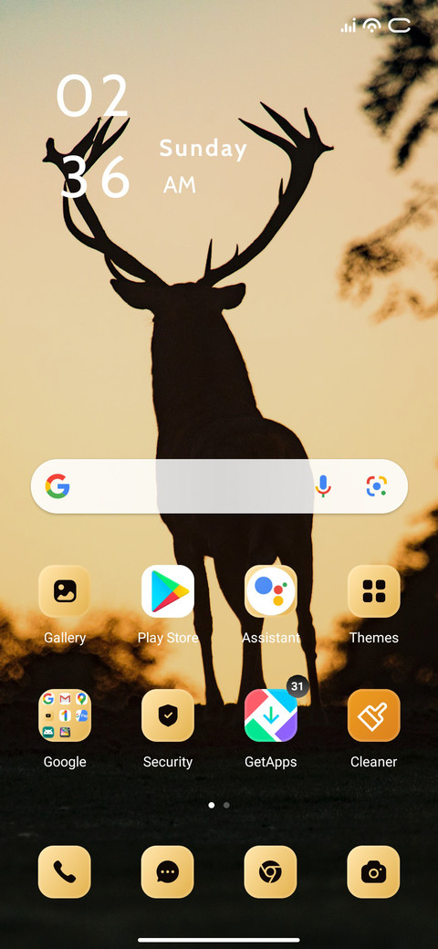 Deer Night screenshot